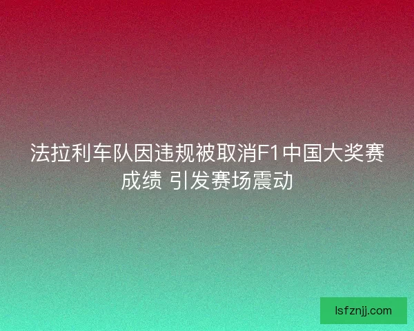 法拉利车队因违规被取消F1中国大奖赛成绩 引发赛场震动